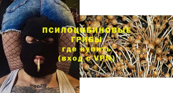 амф Приозерск