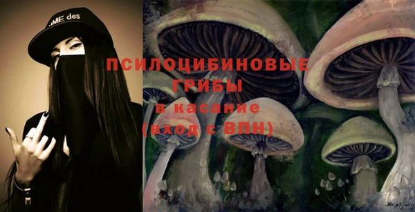 меф Пролетарск