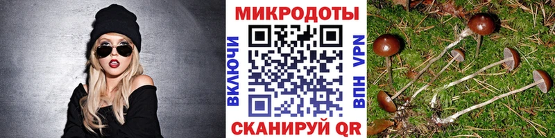Галлюциногенные грибы Psilocybe  Купить  Серов 